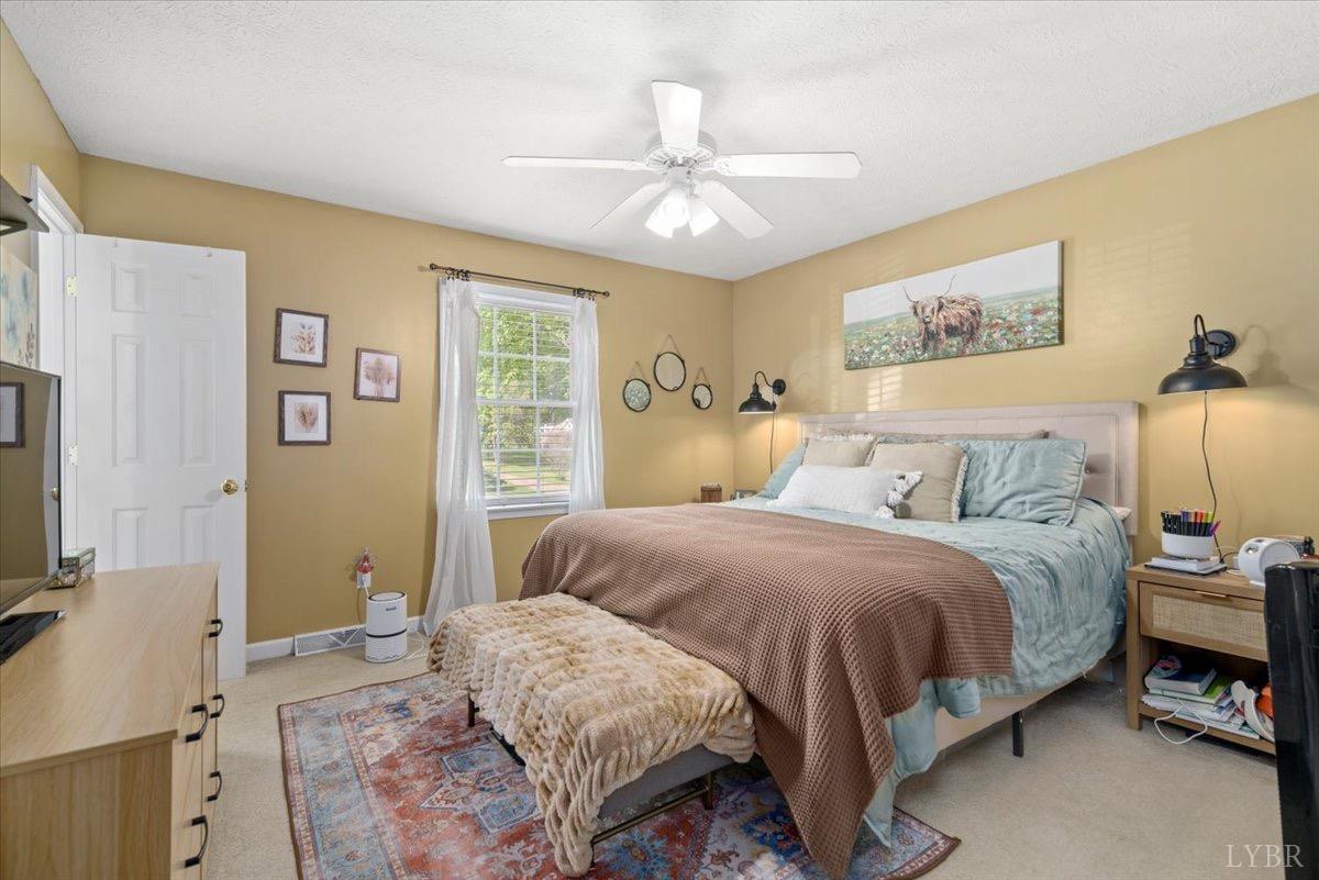 2098 Sunburst Road, Evington, Virginia image 18