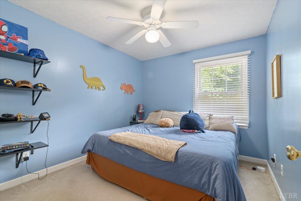2098 Sunburst Road, Evington, Virginia image 26