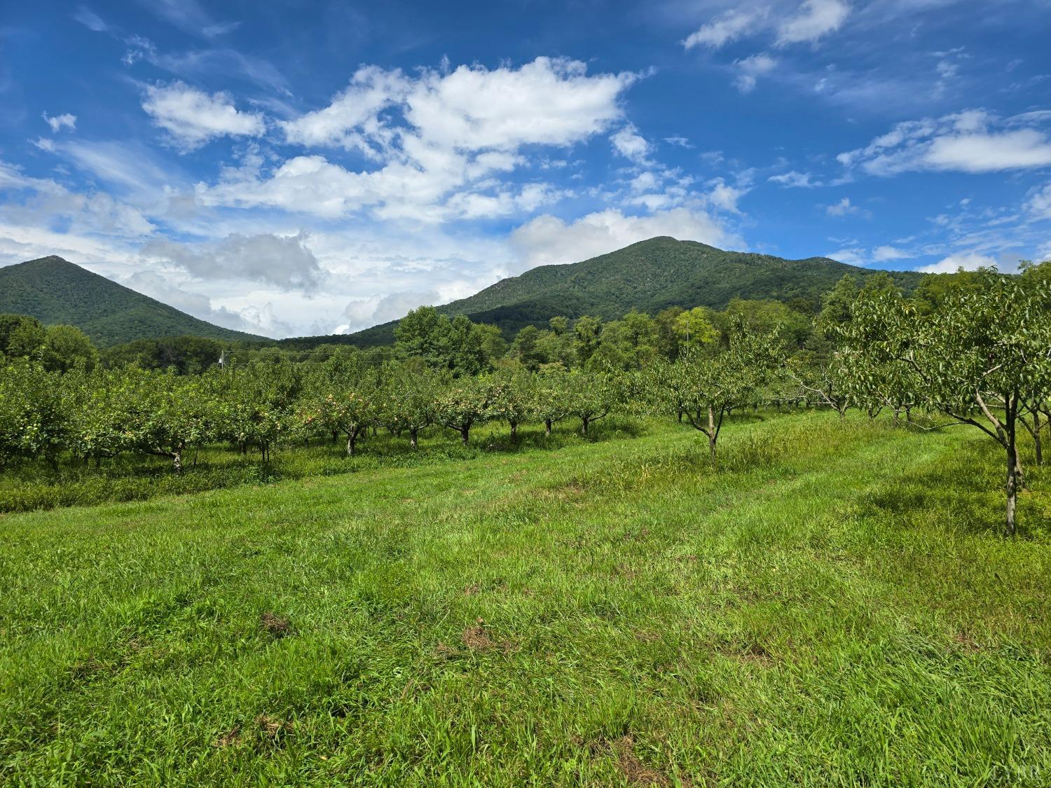 Stonebrook Farms Road, Bedford, Virginia image 12