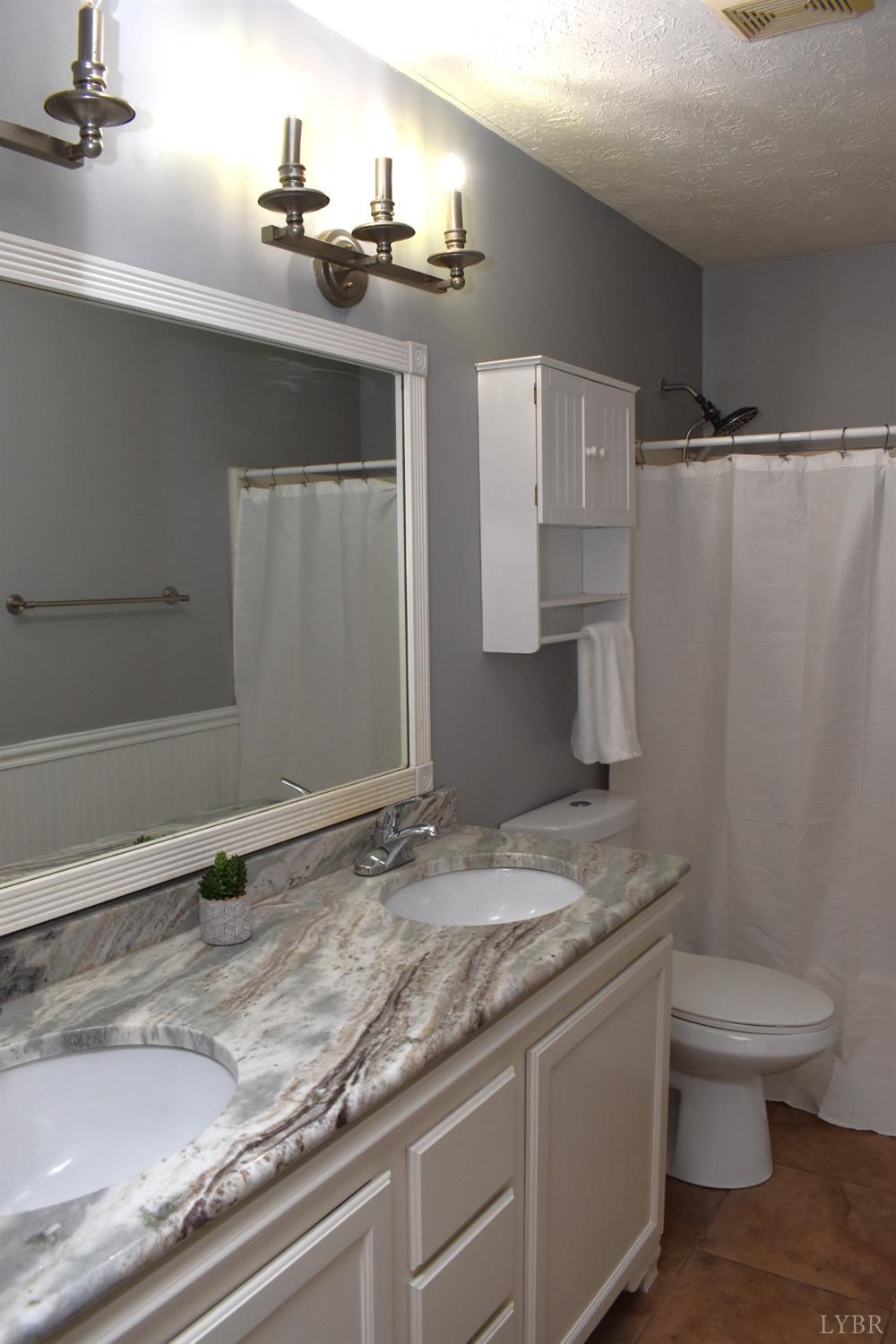 482 Oak Point Rd, Forest, Virginia image 32