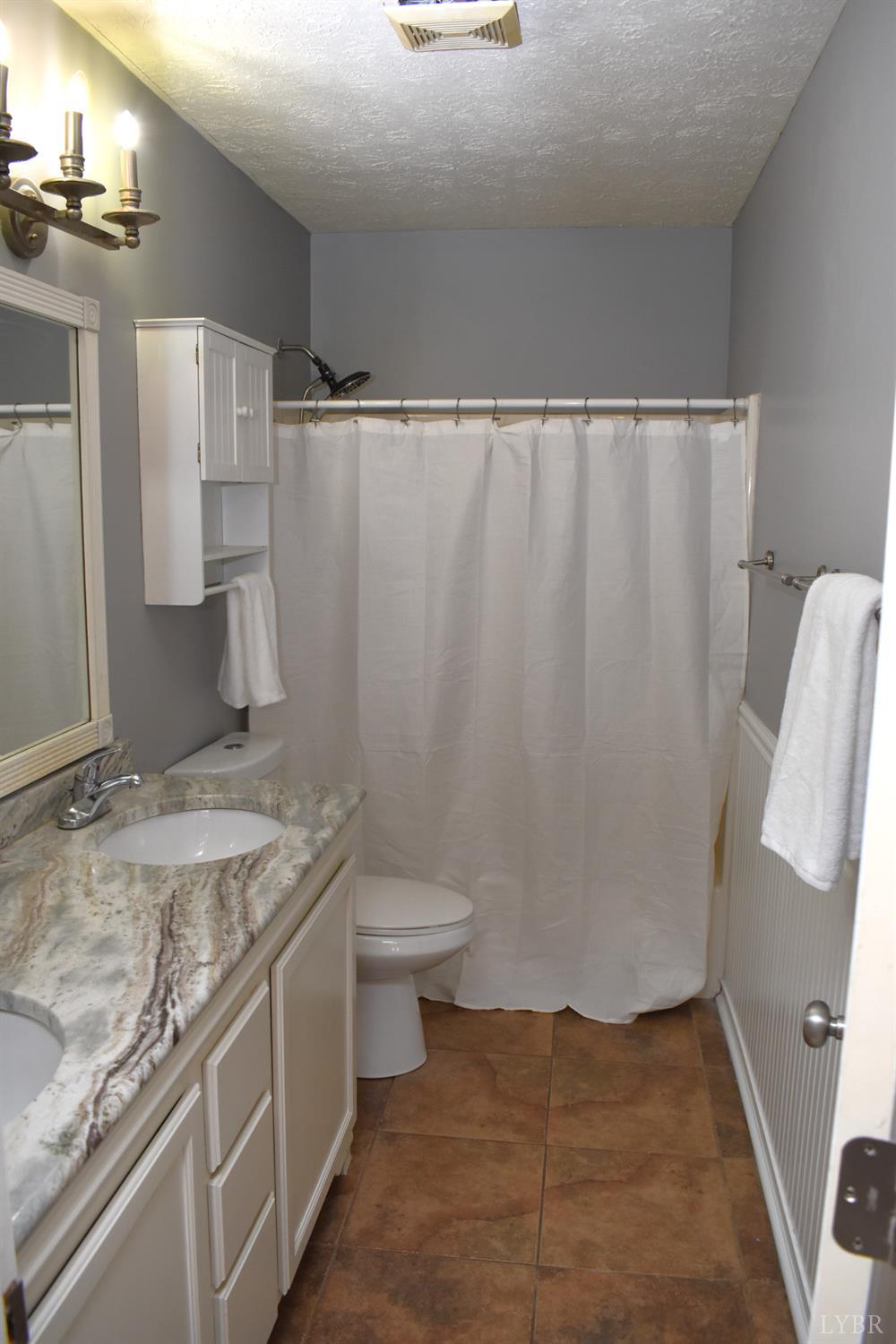 482 Oak Point Rd, Forest, Virginia image 33