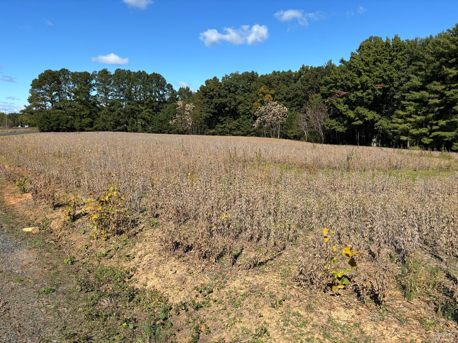 Lot 9 Bent Creek, Concord, Virginia image 2