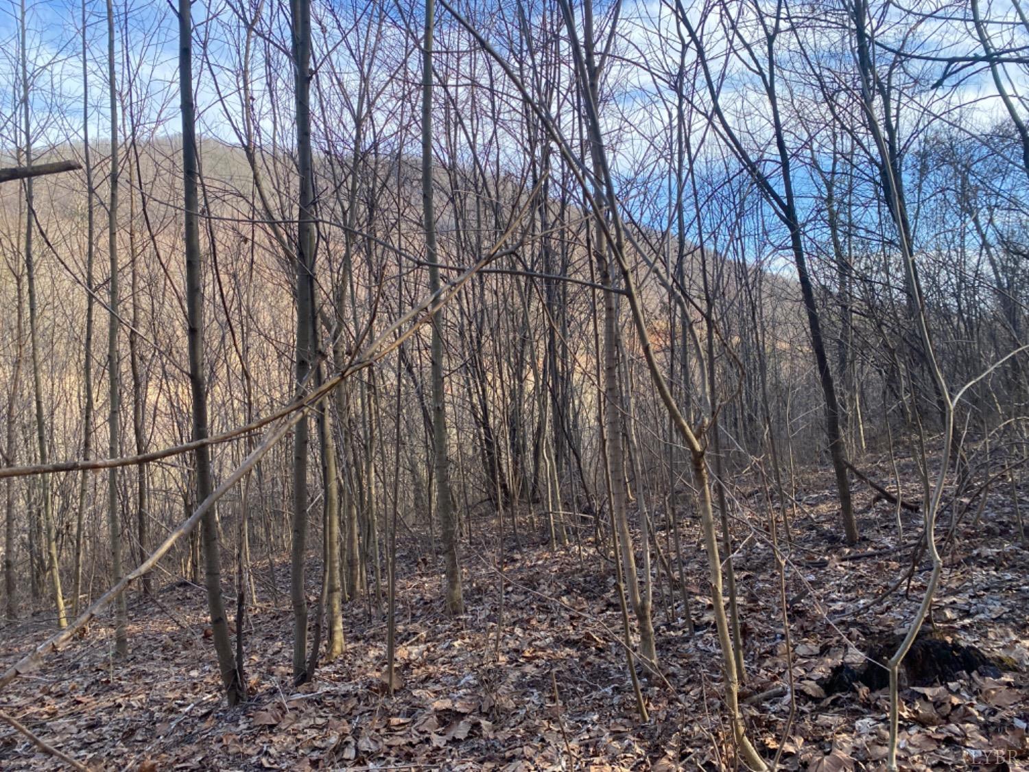 1514 Sweet Hollow Road, Big Island, Virginia image 8