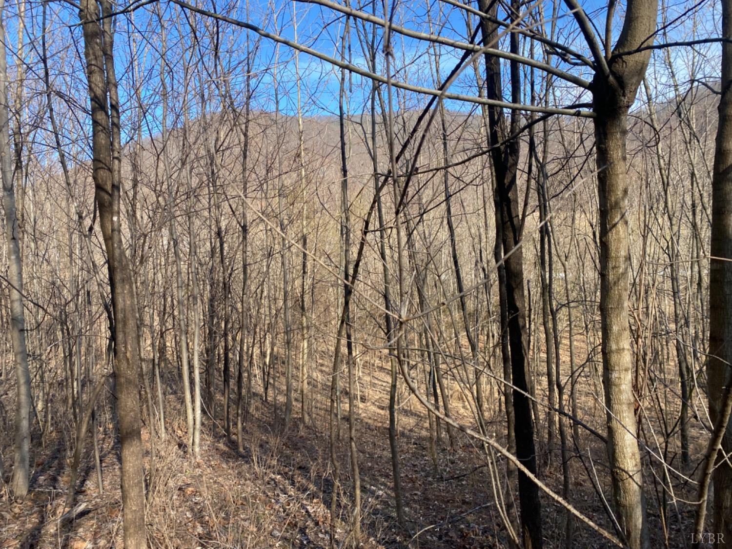 1514 Sweet Hollow Road, Big Island, Virginia image 6