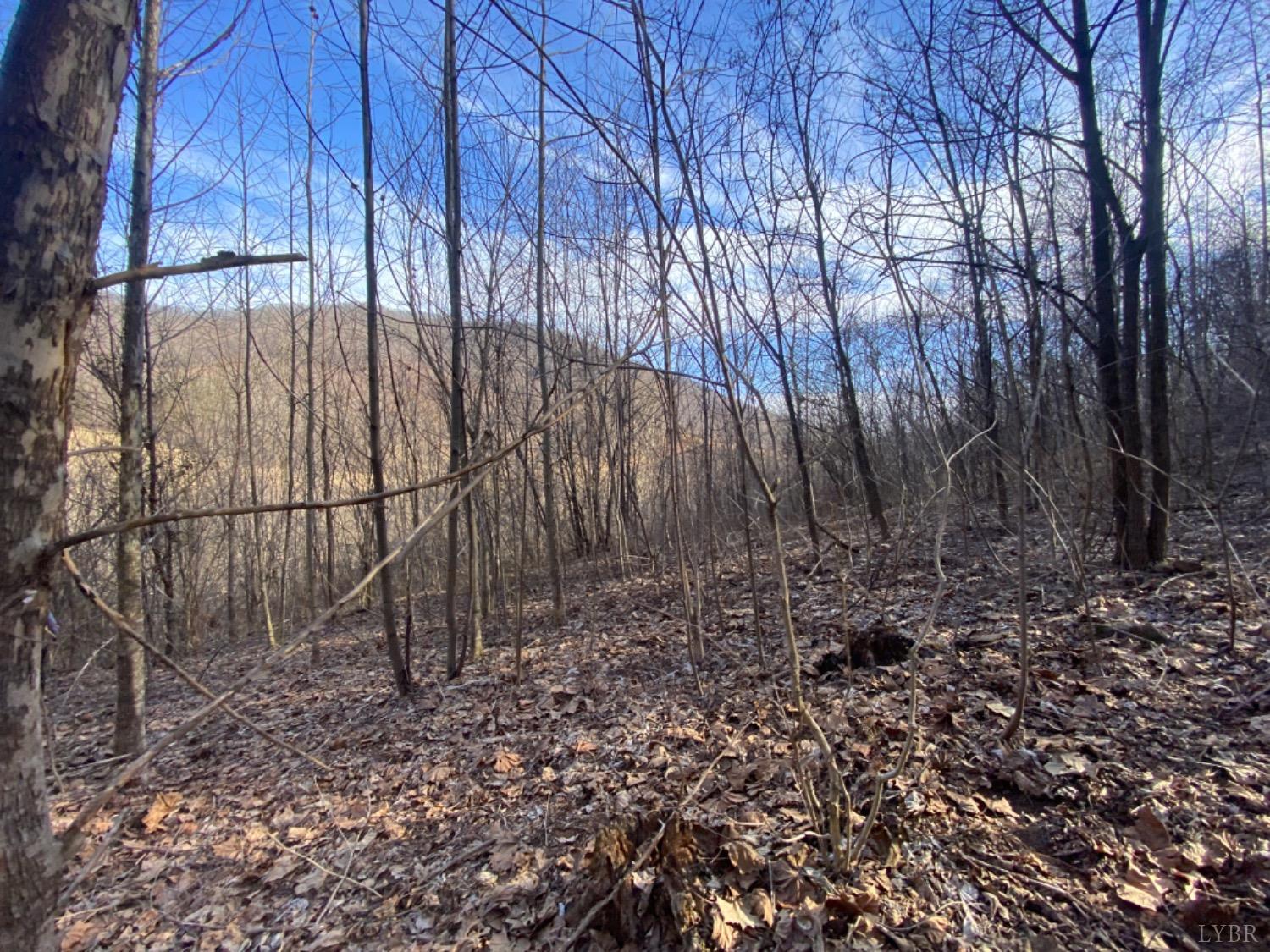 1514 Sweet Hollow Road, Big Island, Virginia image 7