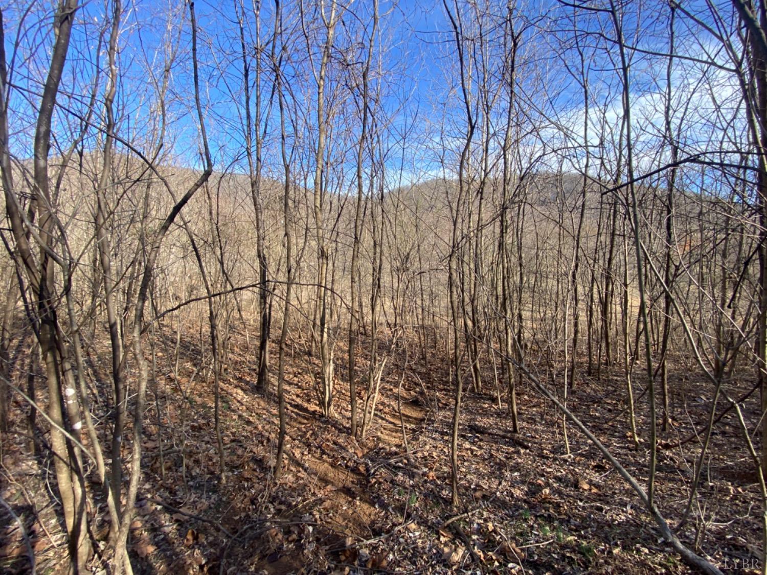 1514 Sweet Hollow Road, Big Island, Virginia image 2