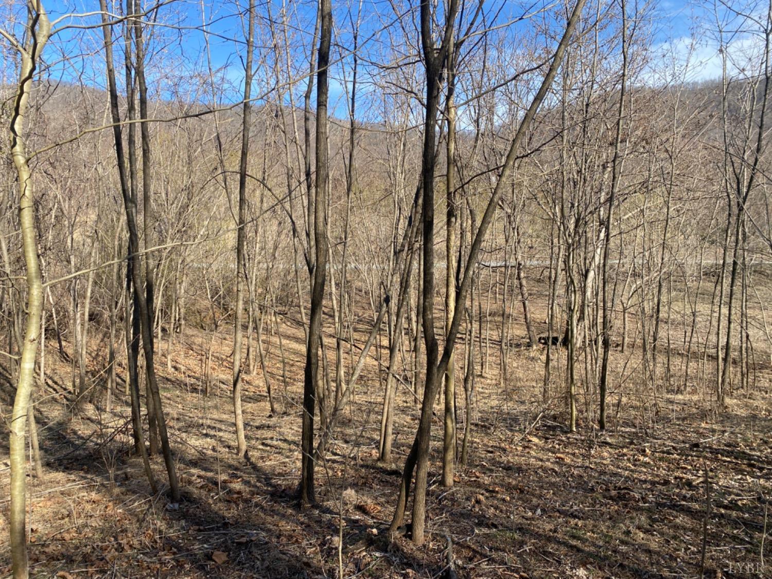 1514 Sweet Hollow Road, Big Island, Virginia image 1
