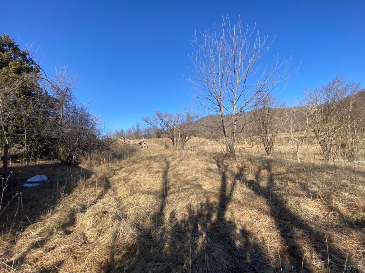 1514 Sweet Hollow Road, Big Island, Virginia image 10