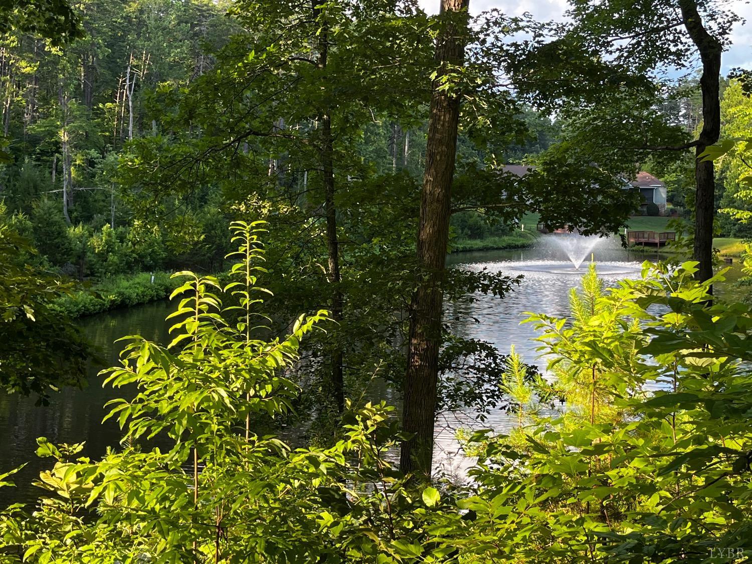 Clear Pointe Run, Lynch Station, Virginia image 1