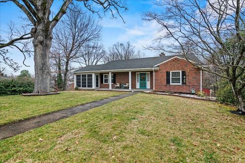 Tiny photo for 4438 Gorman Drive, Lynchburg, VA 24503 (MLS # 364822)