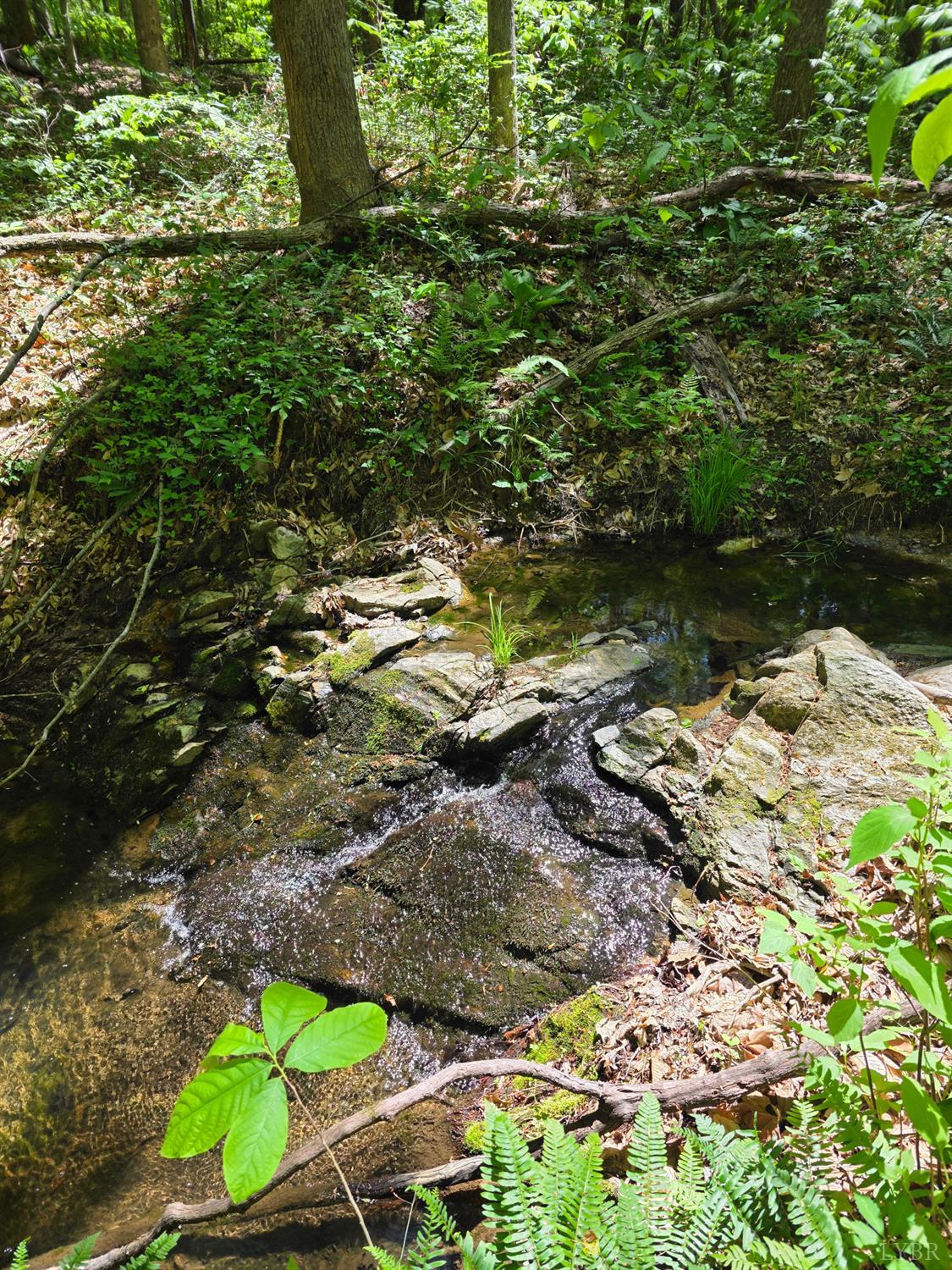 Holiday Lake Road, Appomattox, Virginia image 12