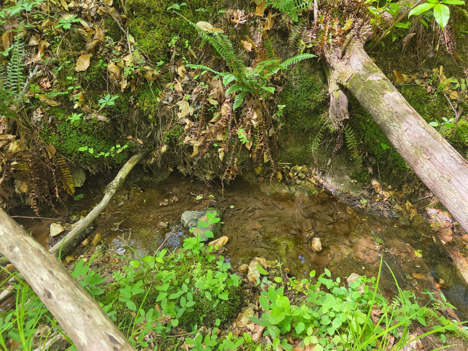 Holiday Lake Road, Appomattox, Virginia image 5