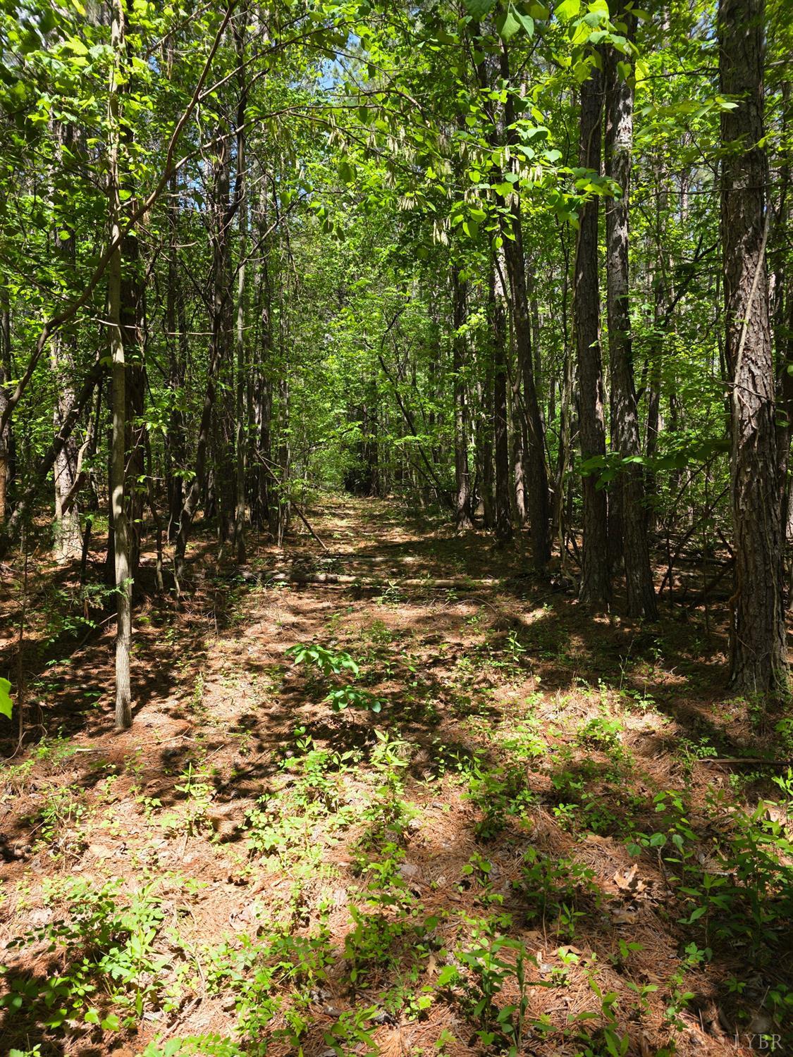 Holiday Lake Road, Appomattox, Virginia image 10