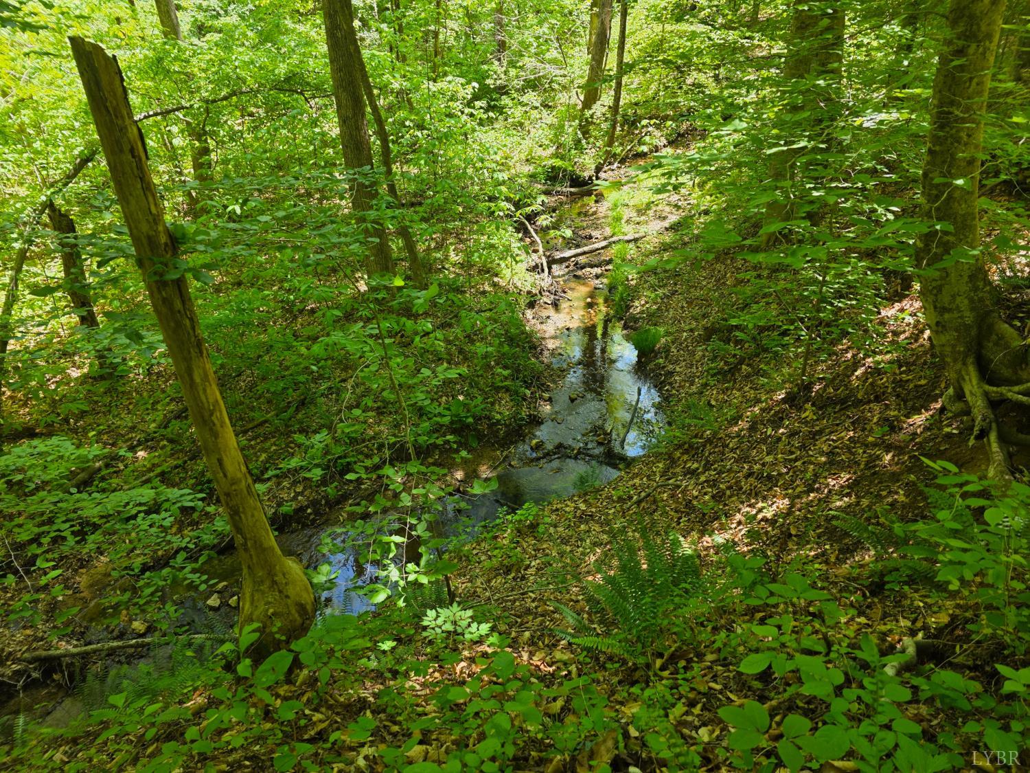 Holiday Lake Road, Appomattox, Virginia image 11
