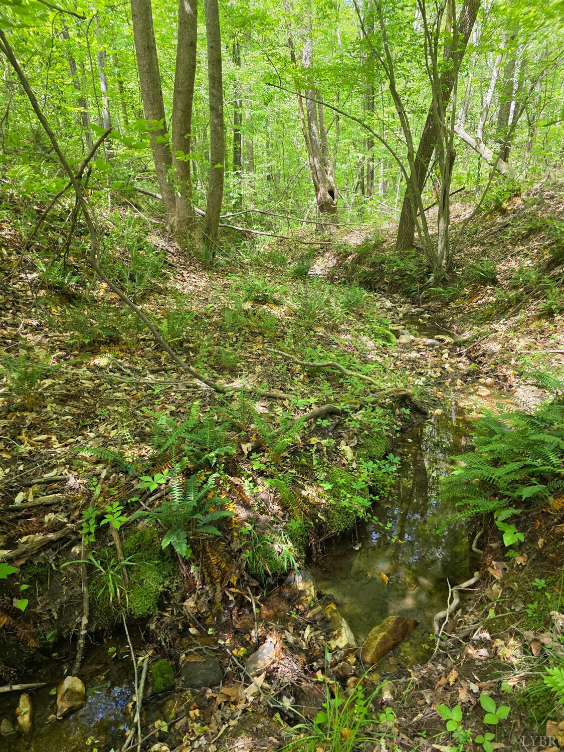 Holiday Lake Road, Appomattox, Virginia image 7