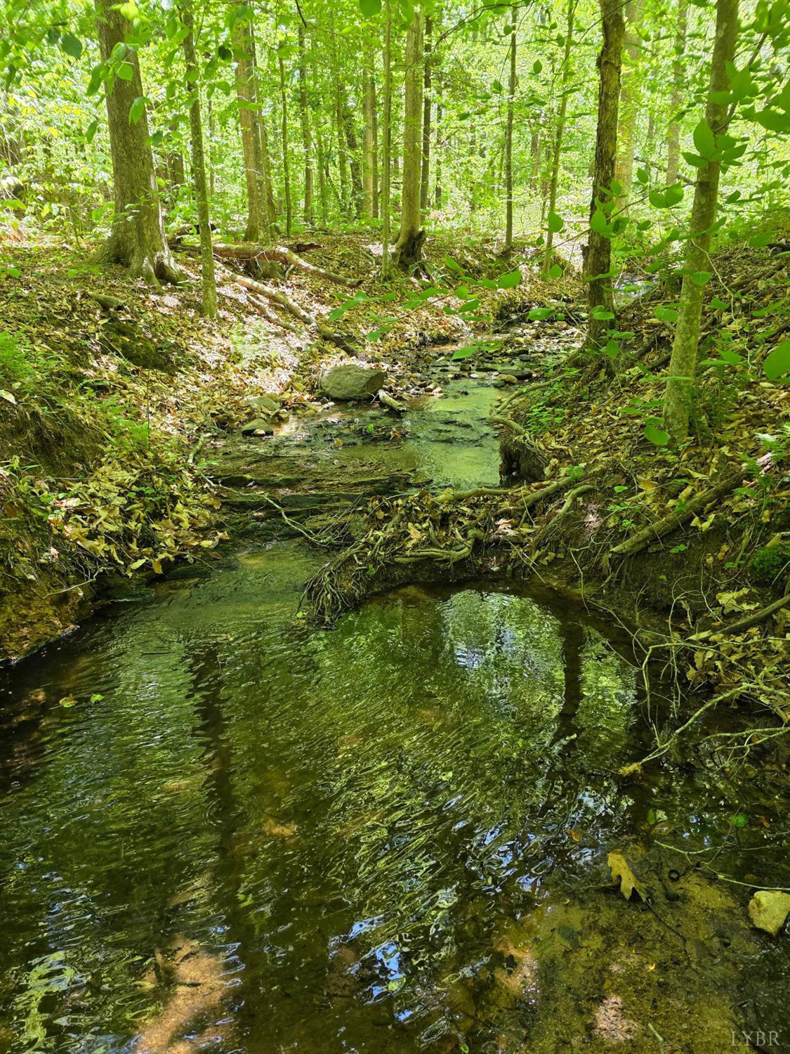 Holiday Lake Road, Appomattox, Virginia image 1
