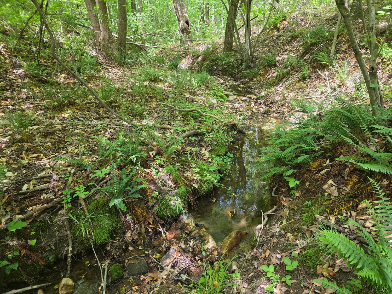 Holiday Lake Road, Appomattox, Virginia image 6