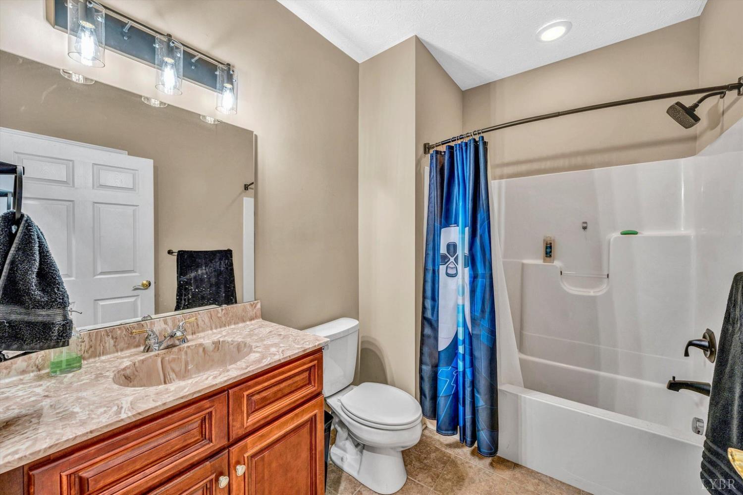 1066 Siesta Key Court, Moneta, Virginia image 20