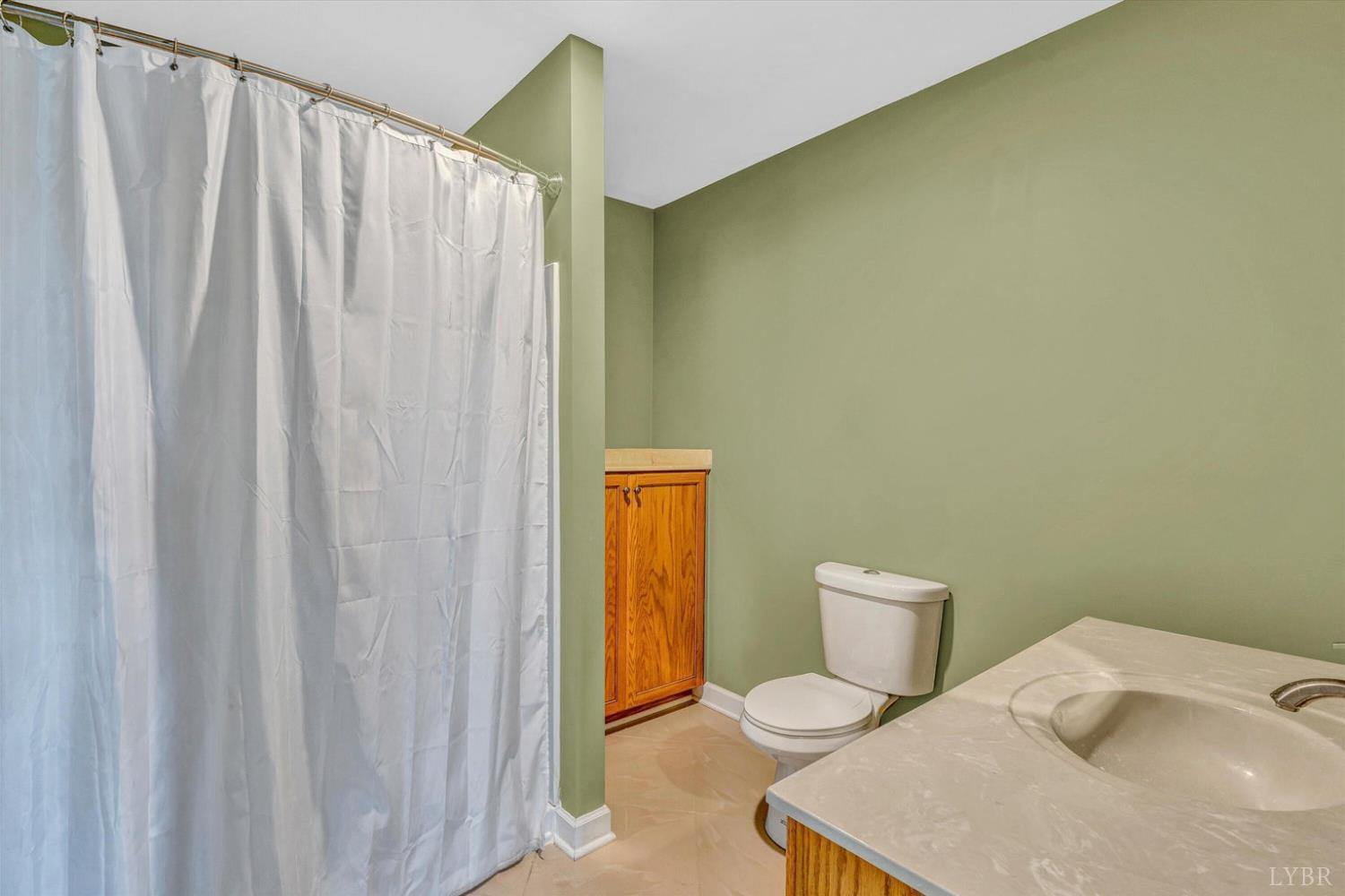 1066 Siesta Key Court, Moneta, Virginia image 29