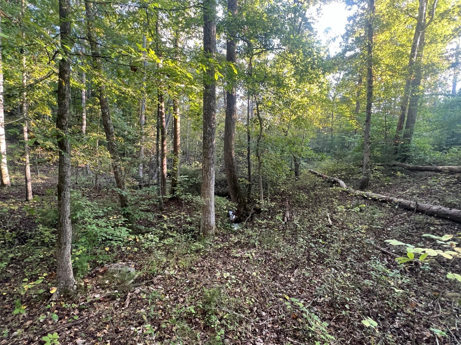 2850 Whipping Creek Road, Gladys, Virginia image 9