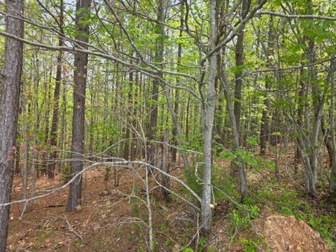 Tiny photo for 0 Gardner Farm Road, Appomattox, VA 24522 (MLS # 365846)