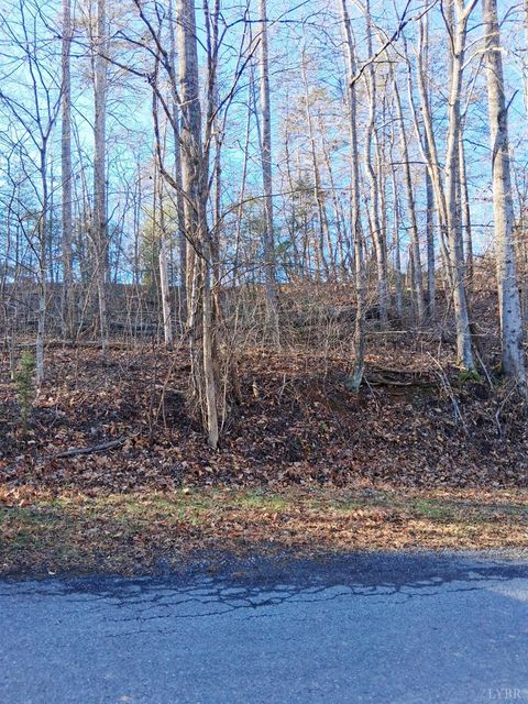 Tiny photo for 0 Peters Creek Road, Big Island, VA 24526 (MLS # 363400)