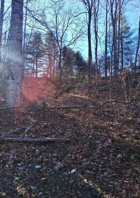 Tiny photo for 0 Peters Creek Road, Big Island, VA 24526 (MLS # 363400)