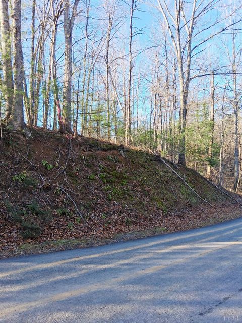 Tiny photo for 0 Peters Creek Road, Big Island, VA 24526 (MLS # 363400)