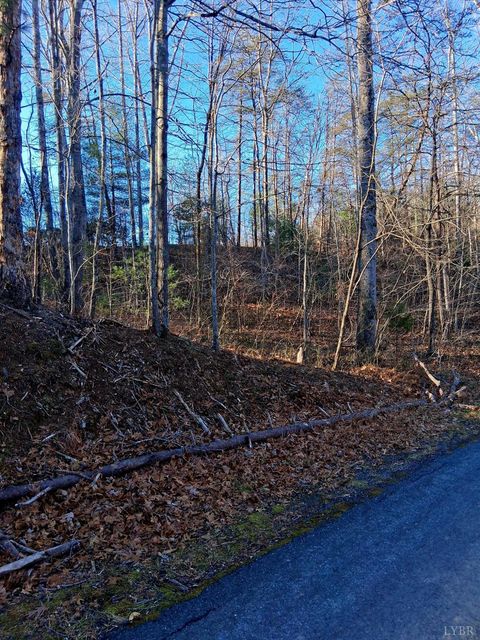 Tiny photo for 0 Peters Creek Road, Big Island, VA 24526 (MLS # 363400)