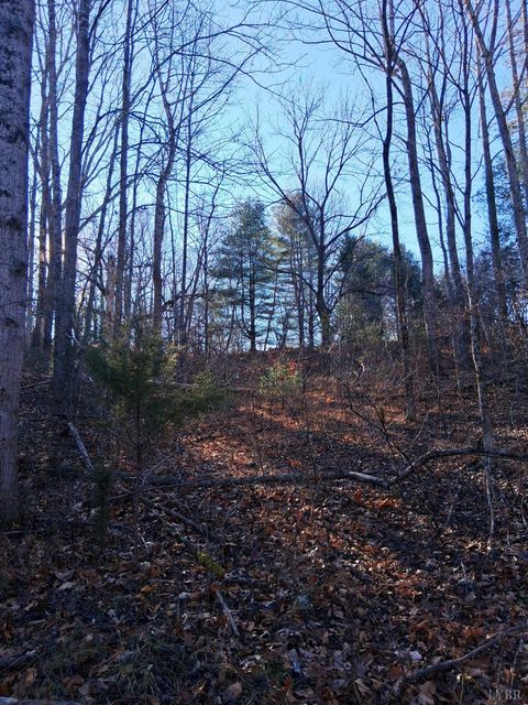 Photo of 0 Peters Creek Road, Big Island, VA 24526 (MLS # 363400)