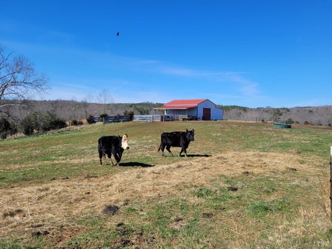 Homes For Sale - 1975 Bellview Rd<br/> Appomattox, VA 24522