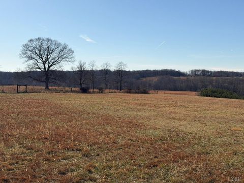 Tiny photo for 2779 Oakville Road, Appomattox, VA 24522 (MLS # 363570)