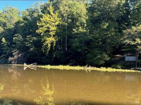Tiny photo for 2 Cedar Bluff, Hardy, VA 24101 (MLS # 362389)