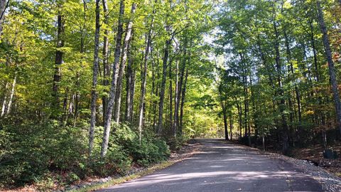 Photo of 0 Oakcrest Lane, Nellysford, VA 22958 (MLS # 363097)