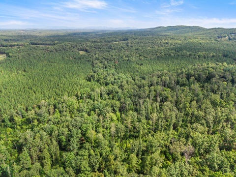 Vacant Land For Sale - Hayshed Lot 3 Road<br/> Amherst, VA 24521