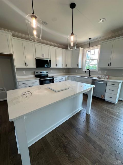 Tiny photo for 1493 Buck Creek Rd, Appomattox, VA 24522 (MLS # 358913)