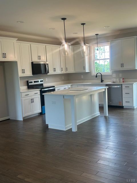 Tiny photo for 1493 Buck Creek Rd, Appomattox, VA 24522 (MLS # 358913)