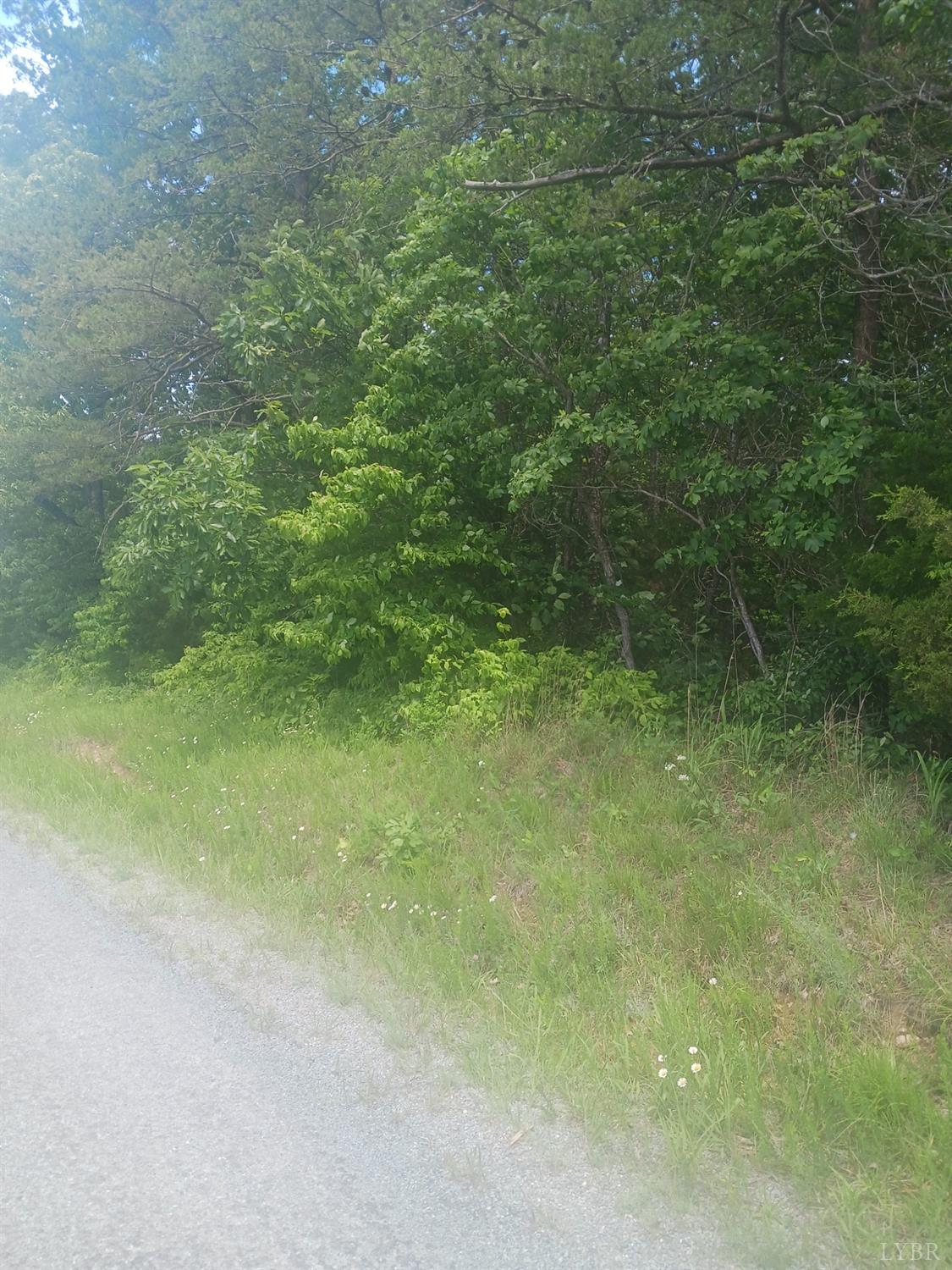1 Harbor Drive, Hurt, Virginia image 13