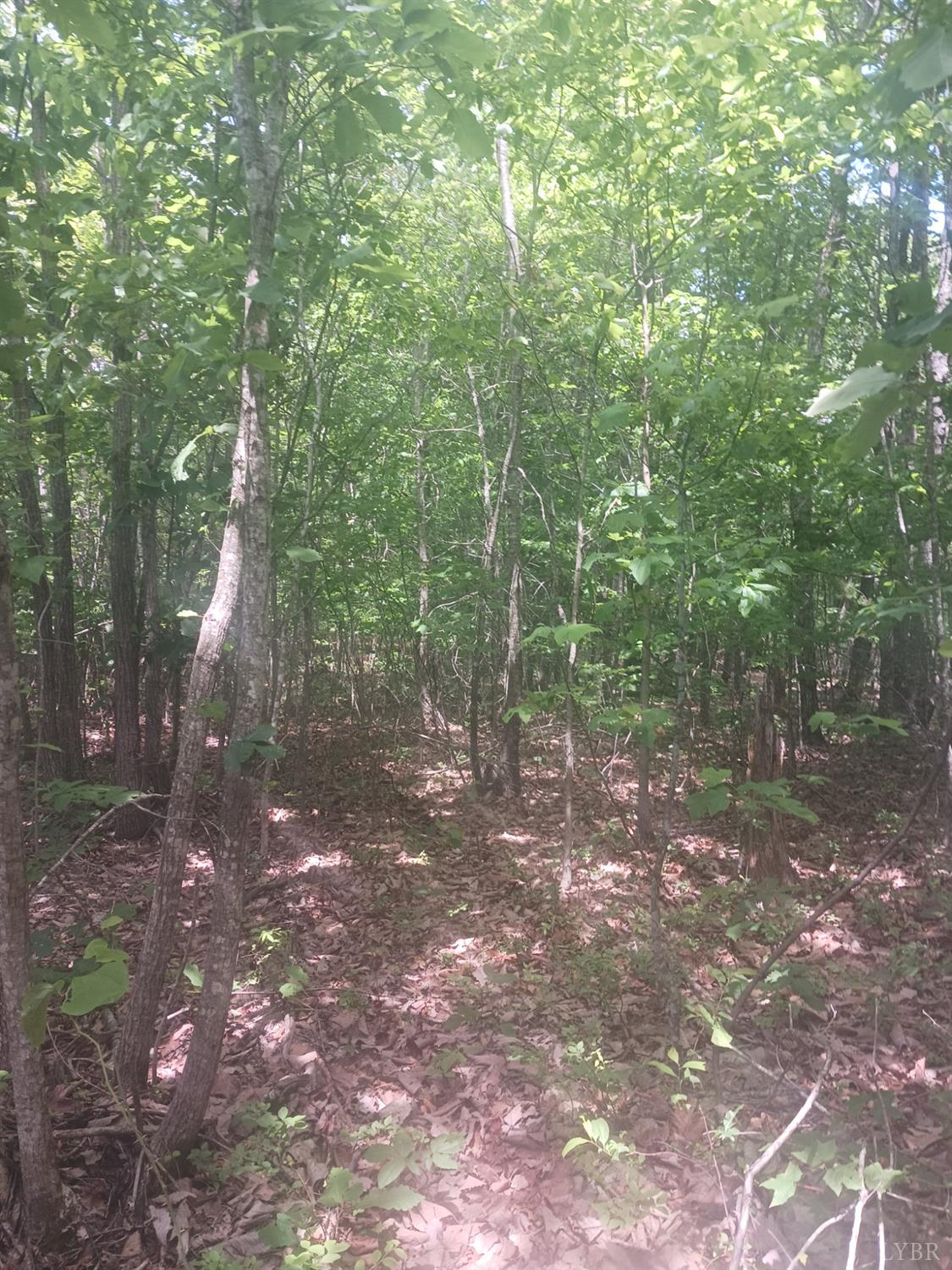 1 Harbor Drive, Hurt, Virginia image 4