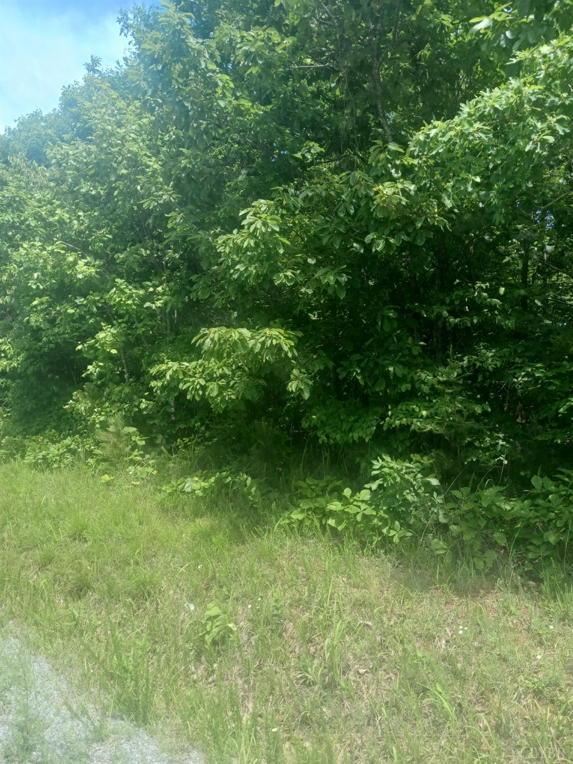 1 Harbor Drive, Hurt, Virginia image 6