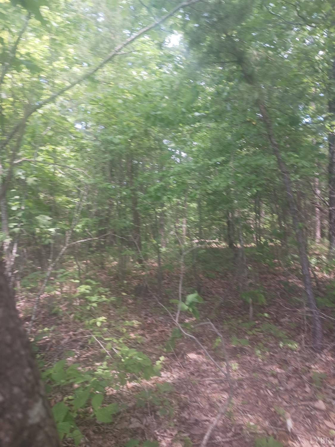 1 Harbor Drive, Hurt, Virginia image 7
