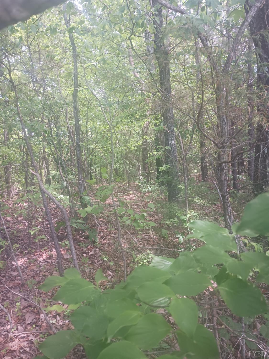 1 Harbor Drive, Hurt, Virginia image 9
