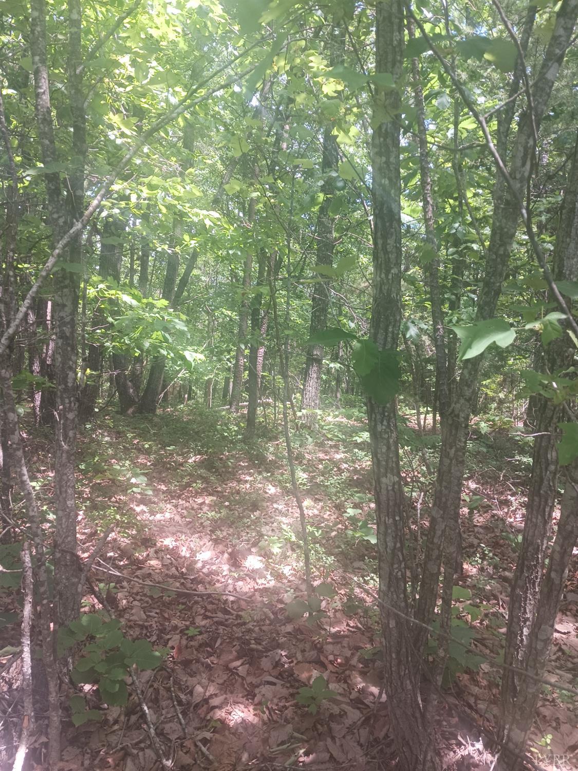 1 Harbor Drive, Hurt, Virginia image 5
