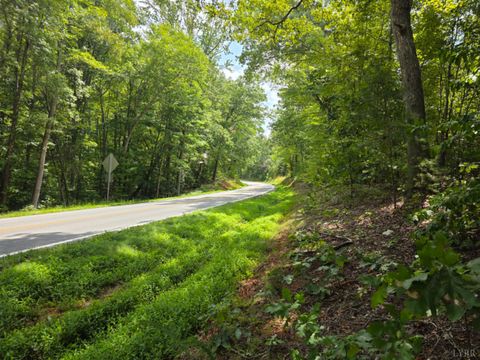 Vacant Land For Sale - Craftons Gate Highway<br/> Charlotte County, Drakes Branch, VA 23937