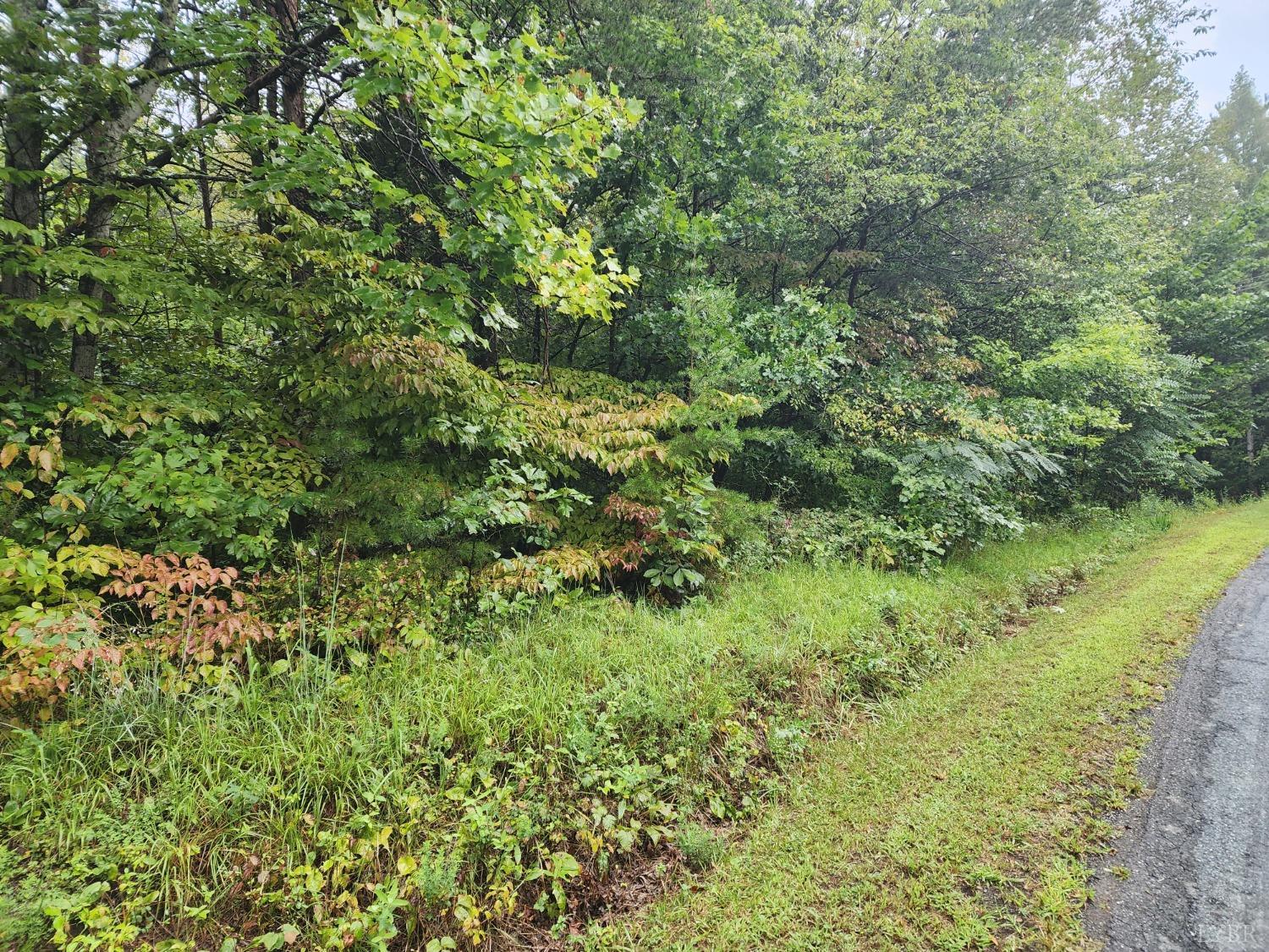 Double Bridges Road, Spout Spring, Virginia image 1