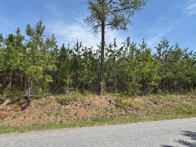 4 Stage Road, Concord, Virginia image 1