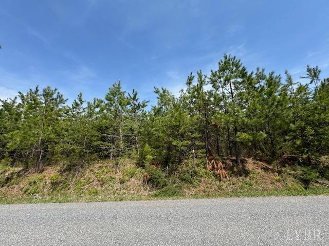 4 Stage Road, Concord, Virginia image 5