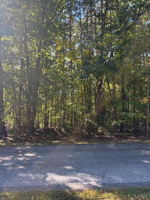 Tiny photo for 0 Hawkins Road, Evington, VA 24550 (MLS # 362504)