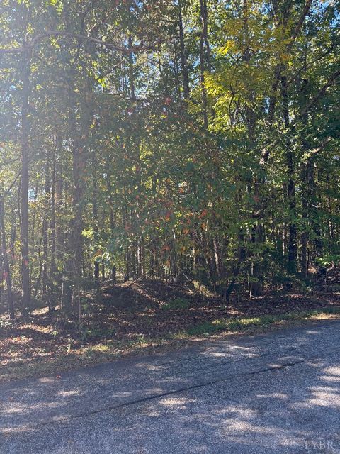 Tiny photo for 0 Hawkins Road, Evington, VA 24550 (MLS # 362504)