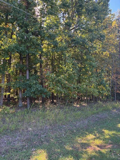 Tiny photo for 0 Hawkins Road, Evington, VA 24550 (MLS # 362504)